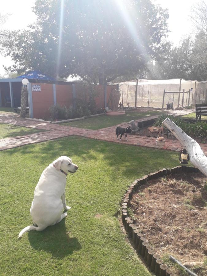 Culdesac Guesthouse Oudtshoorn Exterior foto